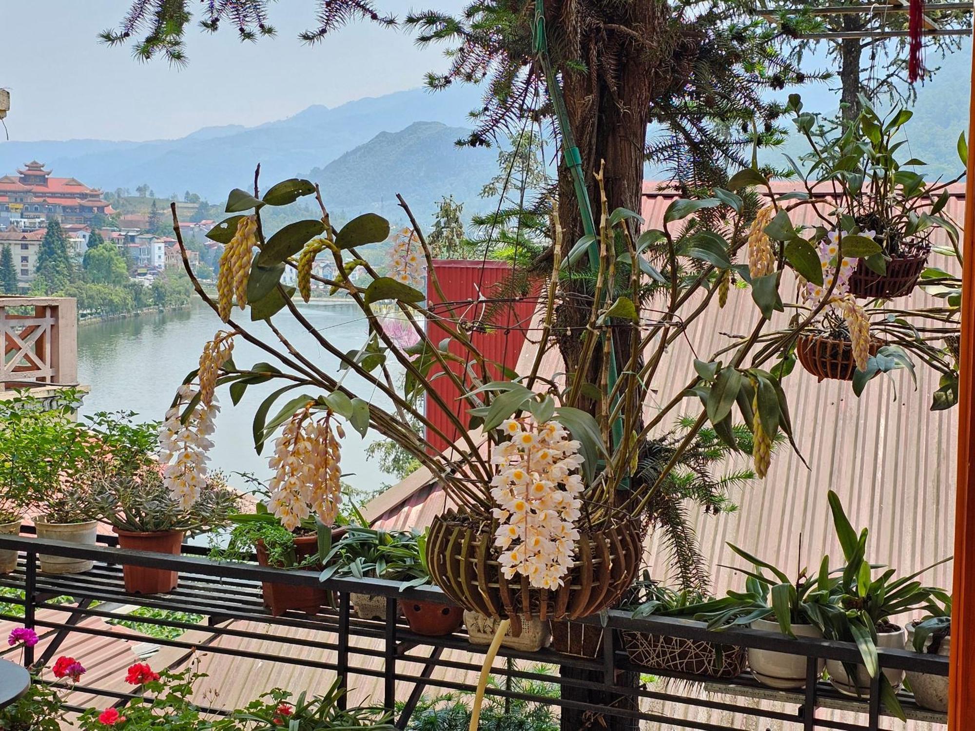 Dang Khoa Garden Inn Homestay Sa Pa Exterior photo