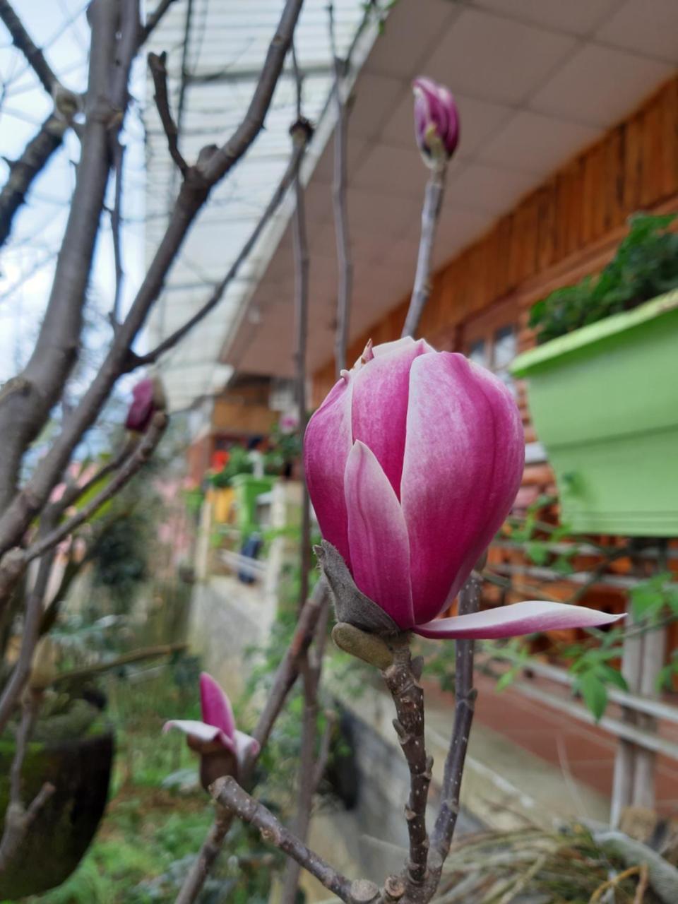 Dang Khoa Garden Inn Homestay Sa Pa Exterior photo
